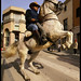 Anthony Carro Photo 15
