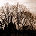 Peter Hesse Photo 35