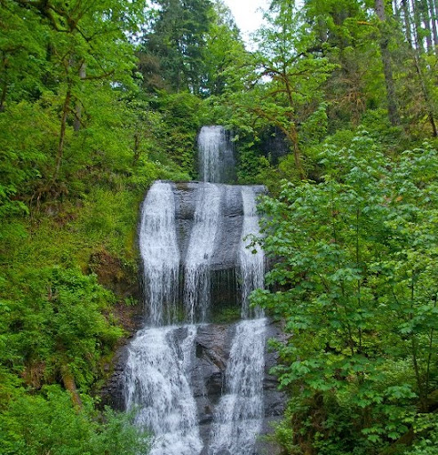 Michelle Goings Photo 7
