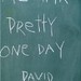 David Pretty Photo 22