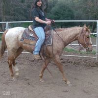 Pam Coats Photo 2