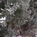 Holly Coats Photo 26