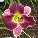 Mary Norris Photo 51