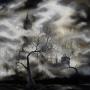 Brian Mashburn Photo 15