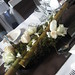 Rose Oxley Photo 22