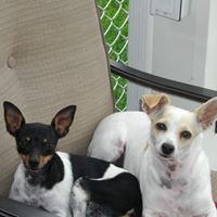 Carol Myers Photo 9