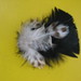 Jaime Feathers Photo 15