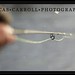Carroll Lucas Photo 18