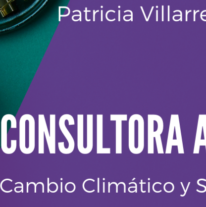 Patricia Villarreal Photo 17