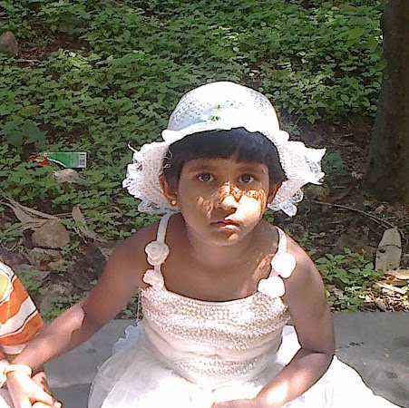 Lakshmi Srinivasan Photo 12