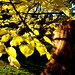 Michelle Finch Photo 44
