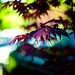 Gregory Carman Photo 20