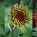 Cathy Bloom Photo 28