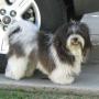 Wanda Pickett Photo 25