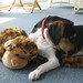 Edgar Short Photo 23
