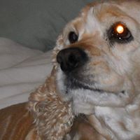 Carole Rowe Photo 7