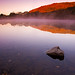 Dawn Newby Photo 23