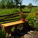 Denise Stump Photo 31