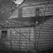 John Willet Photo 21