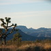 Joshua Laughlin Photo 43