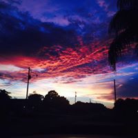Diann Kelly Photo 6