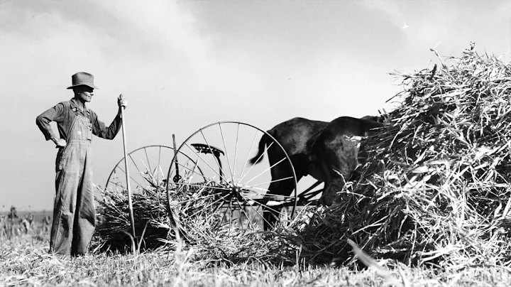 Polly Smith Photo 35
