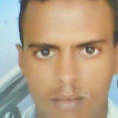 Adel Hamed Photo 12