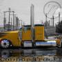 Stephen Guy Photo 30