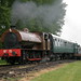 David Earl Photo 44