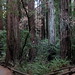 Franklin Muir Photo 15