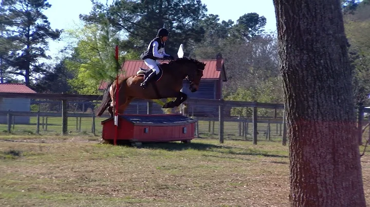 Brenda Hazen Photo 13