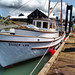 Ann Silvers Photo 27