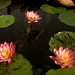 Autumn Greenberg Photo 17