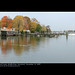 Autumn Head Photo 23