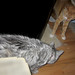 Virginia Barney Photo 15