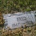 Fred Feller Photo 22