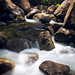 Mark Mossman Photo 31