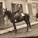 Charles Ross Photo 47