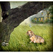 Fletcher Heard Photo 9