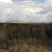 Douglas Mcneal Photo 20