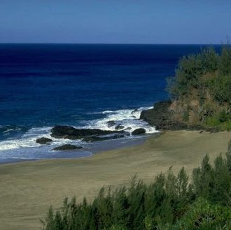 Donald Harvey Photo 4