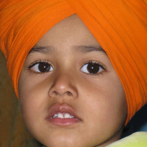 Navdeep Dhaliwal Photo 15