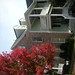 Linda Cary Photo 36