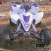 Blake Johnson Photo 49