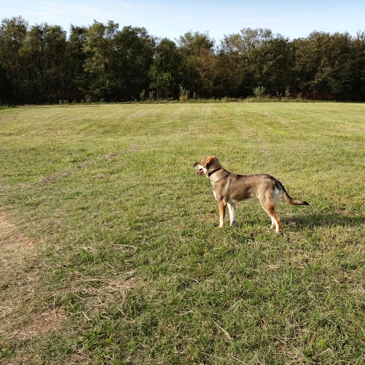 Randall Hoover Photo 9