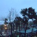 Tammy Storm Photo 17
