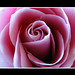 Rose Grassi Photo 17