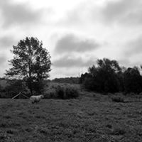 Jamie Herman Photo 8