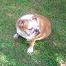 Vicky Stratton Photo 9