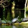 Jim Hickey Photo 28